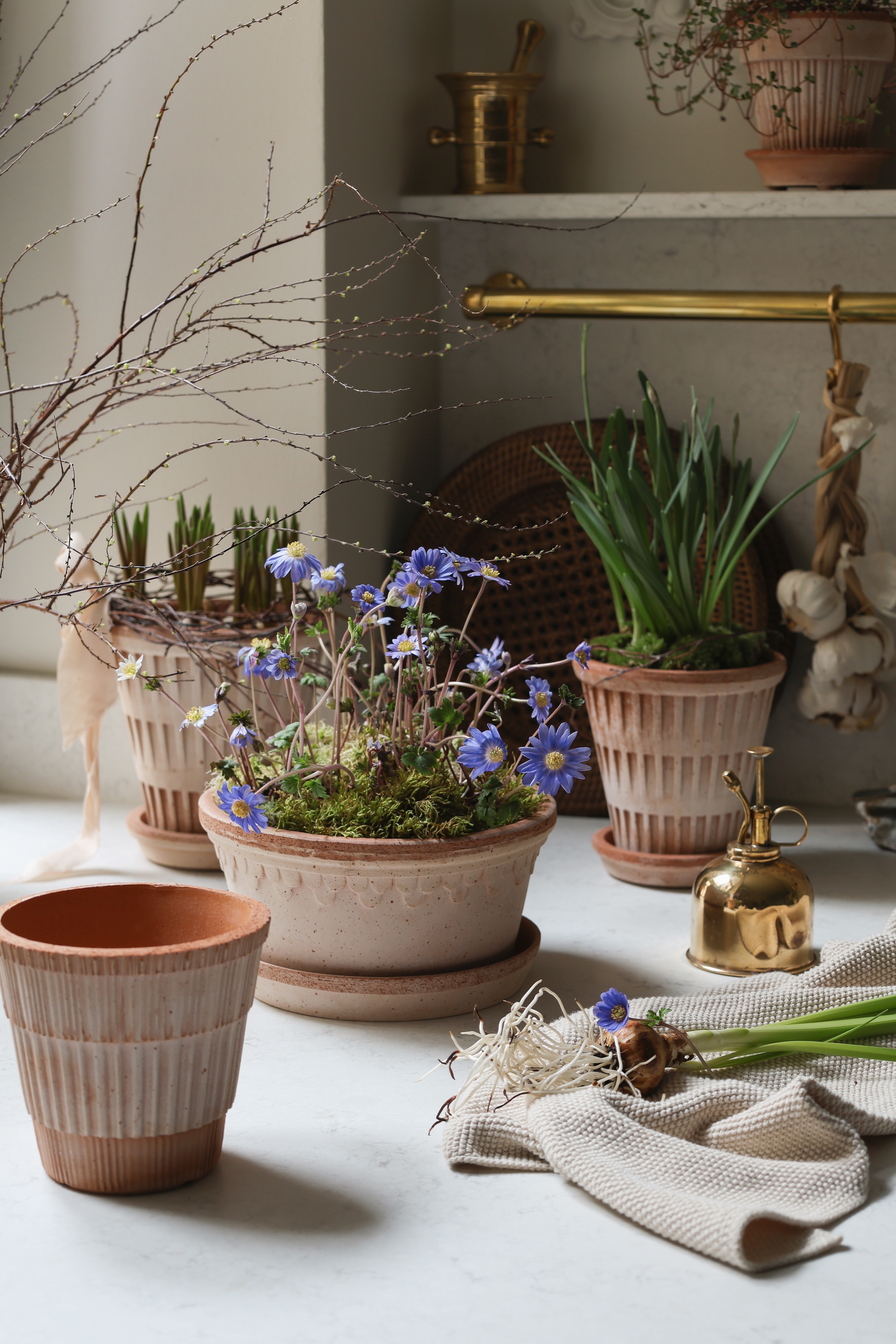 Bergs-Potter_raw_Pantheon_Københavner_low_Atlas_mixed_raro_ 27.01.25, 13 17 59_SpringSpiration_VA
